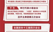 3月10日：人代会审议“两高”报告等 全国政协十三届四次会议闭幕